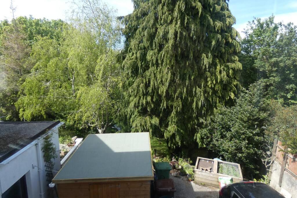 Appartement Ferney Croft à Saint Erth Extérieur photo